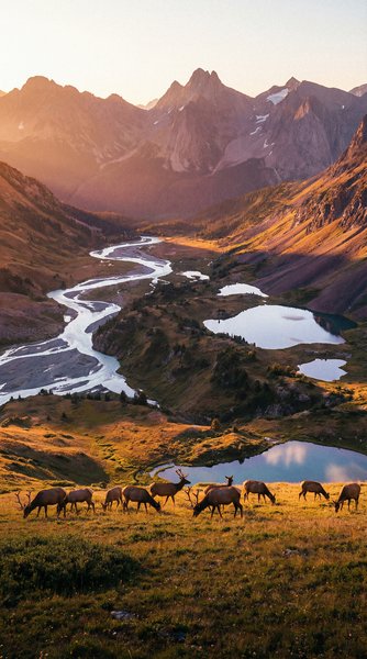 《深海危机》高清视频海报